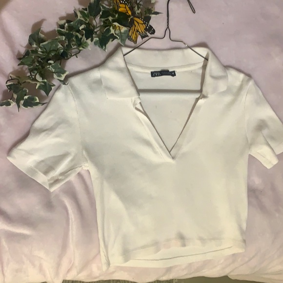 Small ZARA white collar crop top 🤍🤍 - Picture 3 of 4